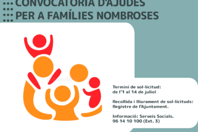 ayudas para familias numerosas novedades