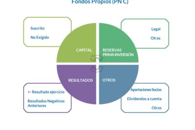 consecuencias del patrimonio neto negativo para tu negocio