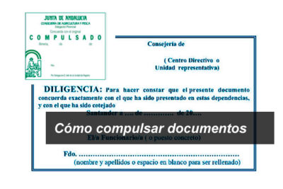 quien puede compulsar documentos algunos ejemplos