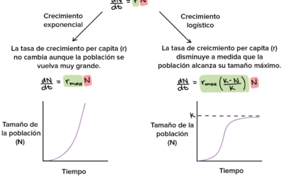 tasa de crecimiento que es y que tipos existen