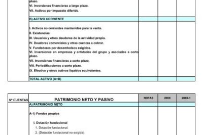 cuentas de activo pasivo y neto patrimonial que son y ejemplos