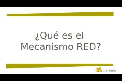 que es el mecanismo red