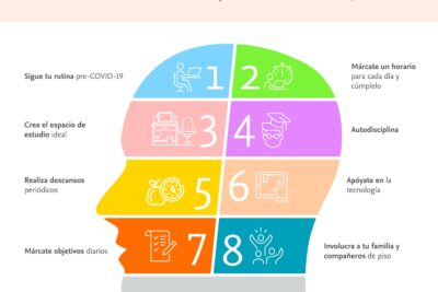 consejos para optimizar tu proceso de aprendizaje y mejorar tus habilidades de estudio