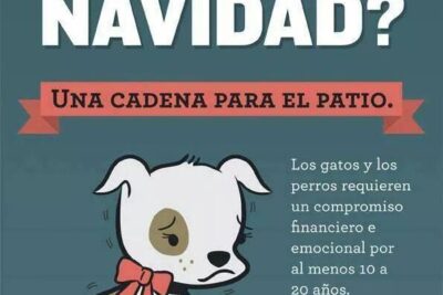 cuando tu mascota es parte de tu familia