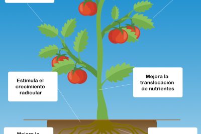 ventajas del abono organico