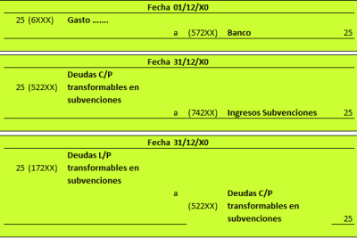 como contabilizar subvenciones con ejemplos