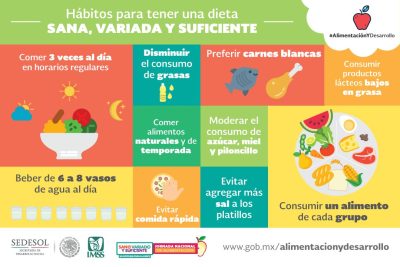 importancia de la alimentacion saludable
