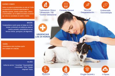 como seleccionar al mejor veterinario