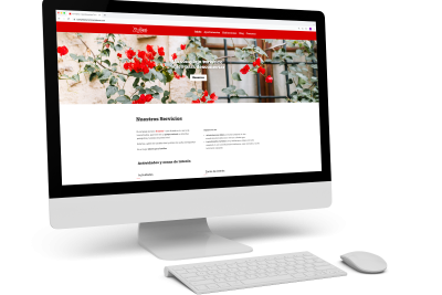 diseno web en malaga