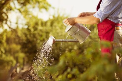 conoce el salario promedio para un jardinero en espana y su variacion en funcion de la experiencia